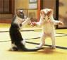 tro chou lol